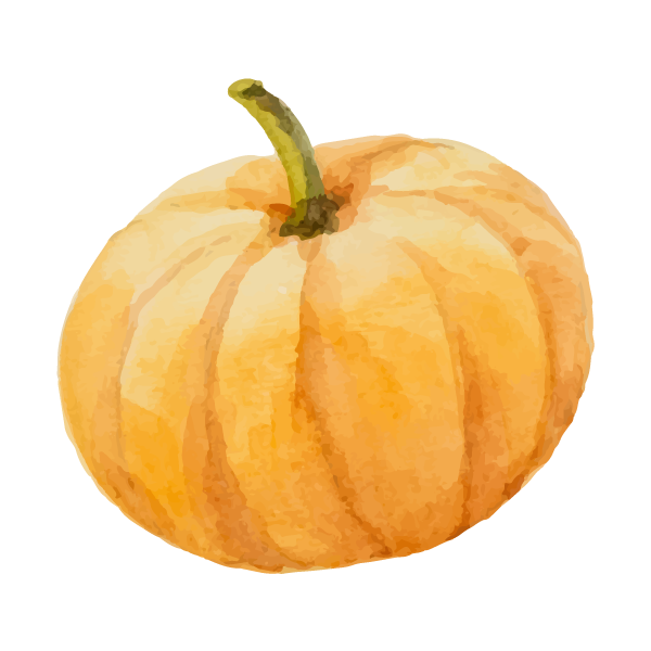 Courge