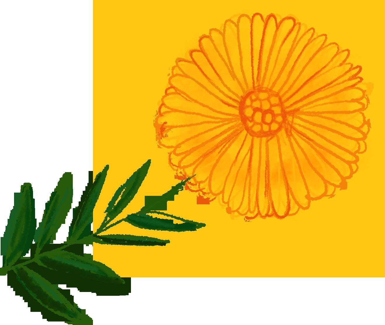 Fleur