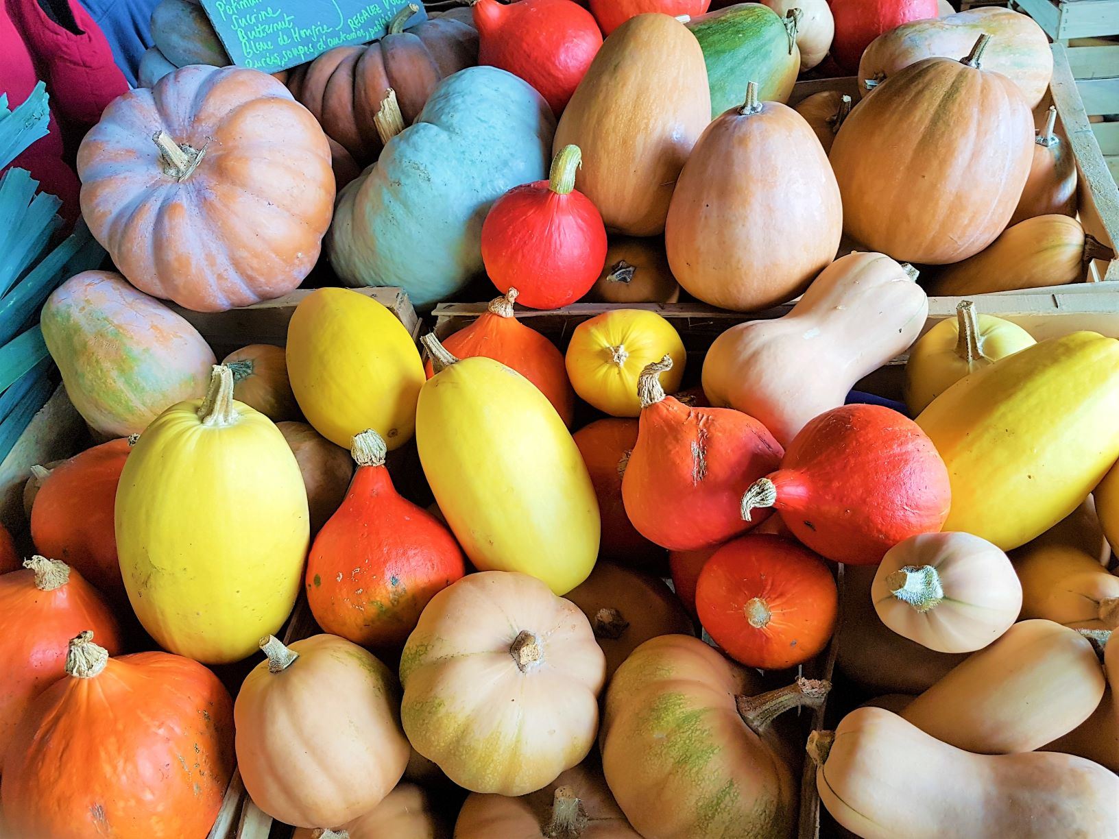 Légumes bio et de saison