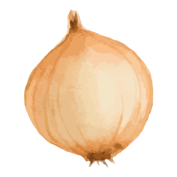 Oignon