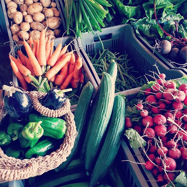 Paniers de légumes bio