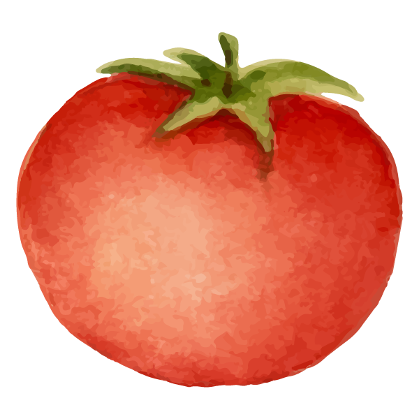 Tomate